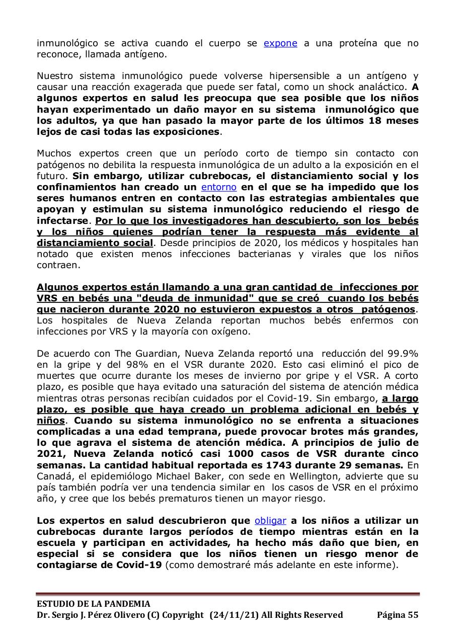 Vista previa del archivo PDF informe-pandemia-241121.pdf