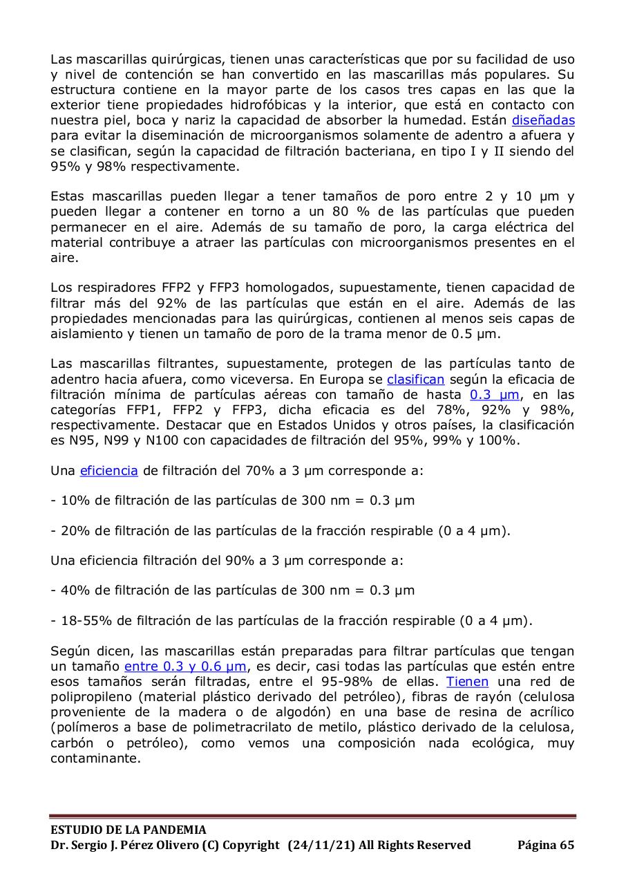 Vista previa del archivo PDF informe-pandemia-241121.pdf