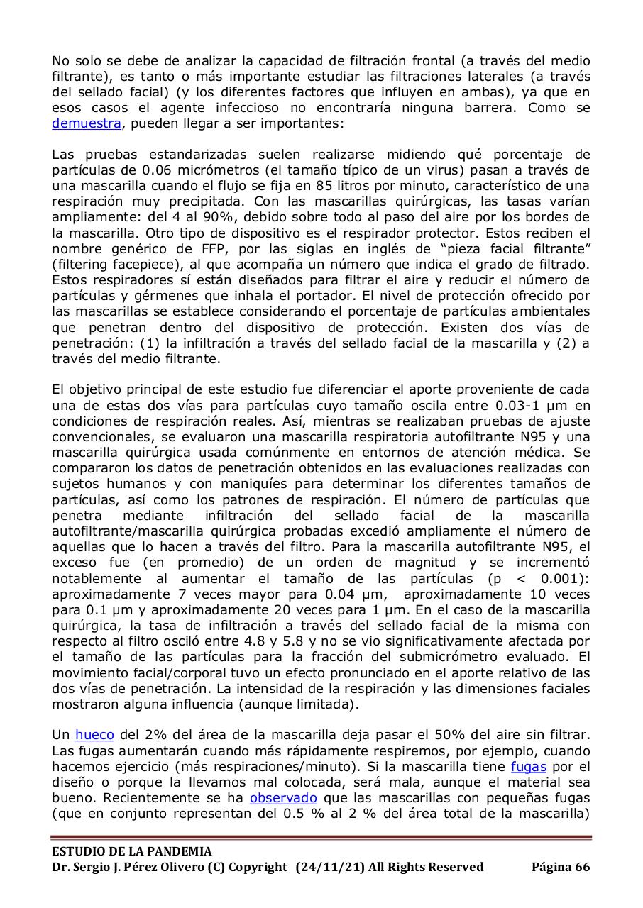 Vista previa del archivo PDF informe-pandemia-241121.pdf