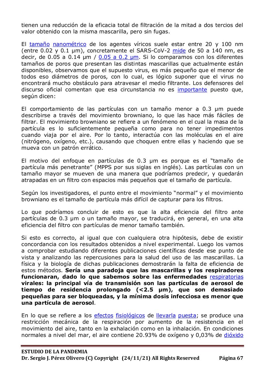 Vista previa del archivo PDF informe-pandemia-241121.pdf