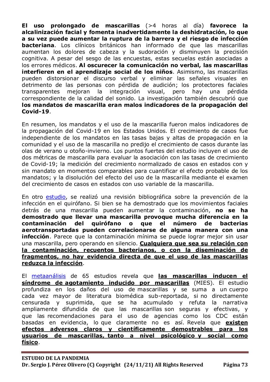 Vista previa del archivo PDF informe-pandemia-241121.pdf