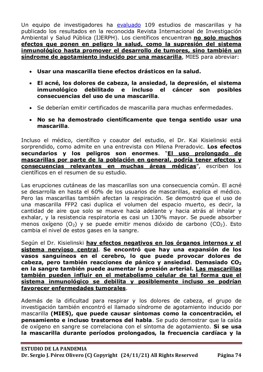 Vista previa del archivo PDF informe-pandemia-241121.pdf