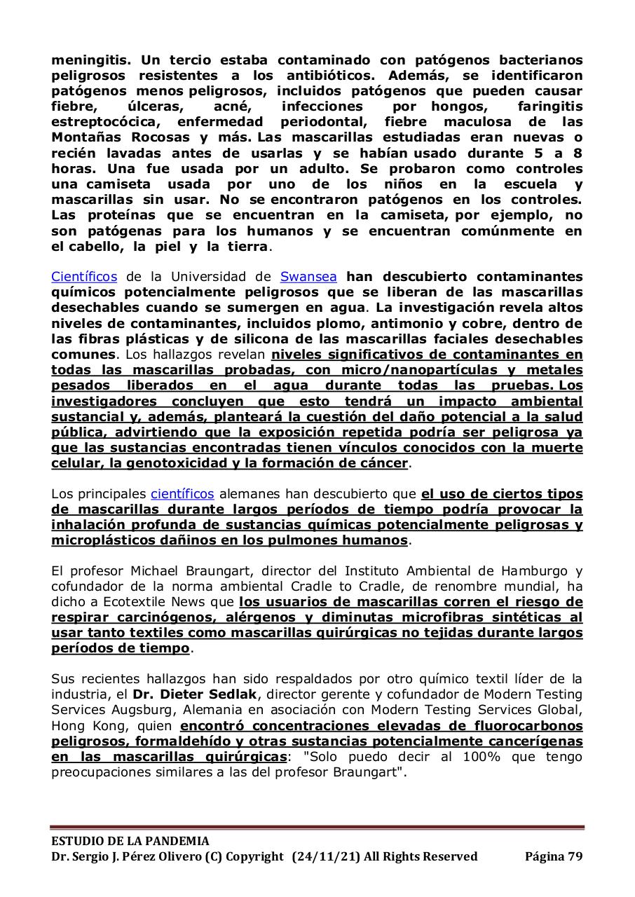 Vista previa del archivo PDF informe-pandemia-241121.pdf