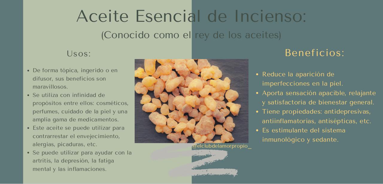 Vista previa del archivo PDF guia-aceites-esenciales-.pdf