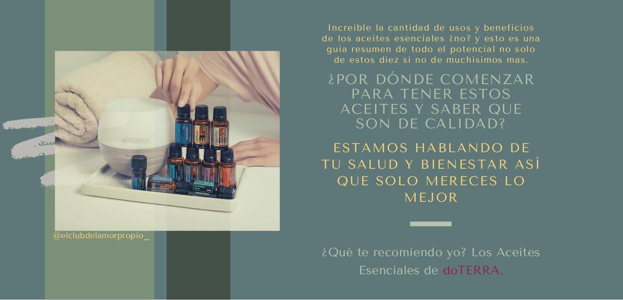 Vista previa del archivo PDF guia-aceites-esenciales-.pdf