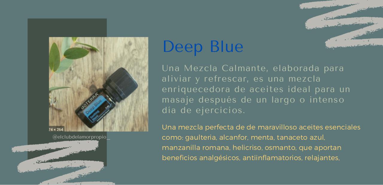 Vista previa del archivo PDF guia-aceites-esenciales-.pdf