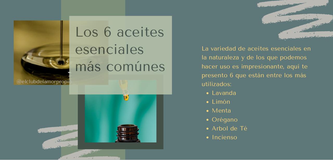 Vista previa del archivo PDF guia-aceites-esenciales-.pdf