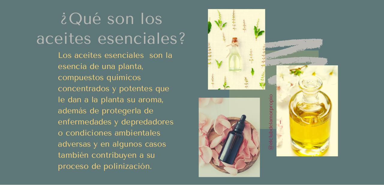 Vista previa del archivo PDF guia-aceites-esenciales-.pdf