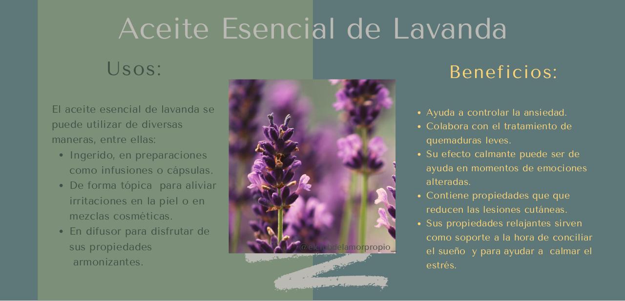 Vista previa del archivo PDF guia-aceites-esenciales-.pdf