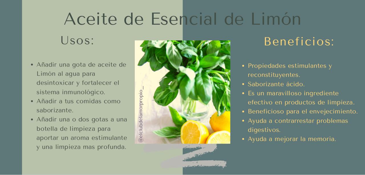 Vista previa del archivo PDF guia-aceites-esenciales-.pdf