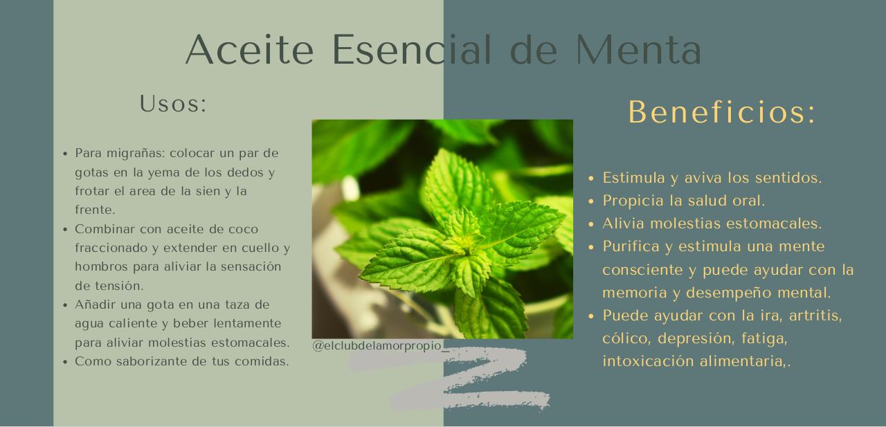 Vista previa del archivo PDF guia-aceites-esenciales-.pdf