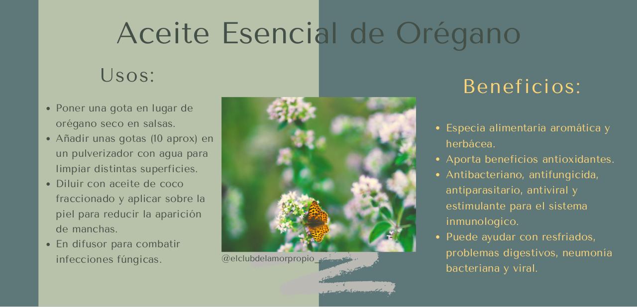 Vista previa del archivo PDF guia-aceites-esenciales-.pdf