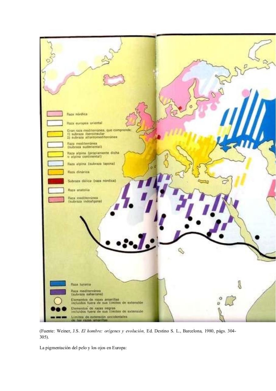 Vista previa del archivo PDF racismo-nrdico-comprimido-2-1.pdf