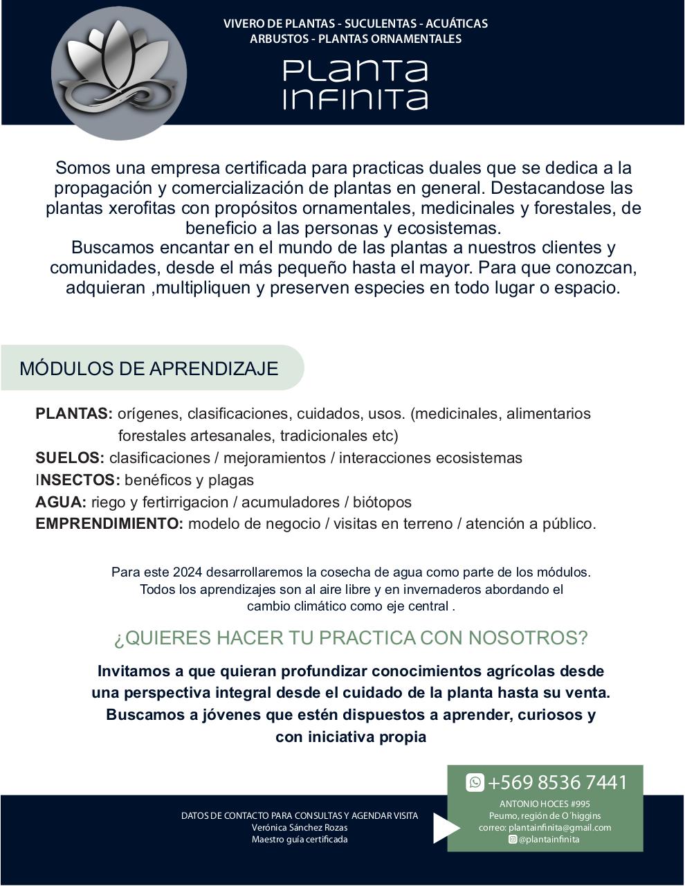 presentación_planta infinita.pdf - página 1/5