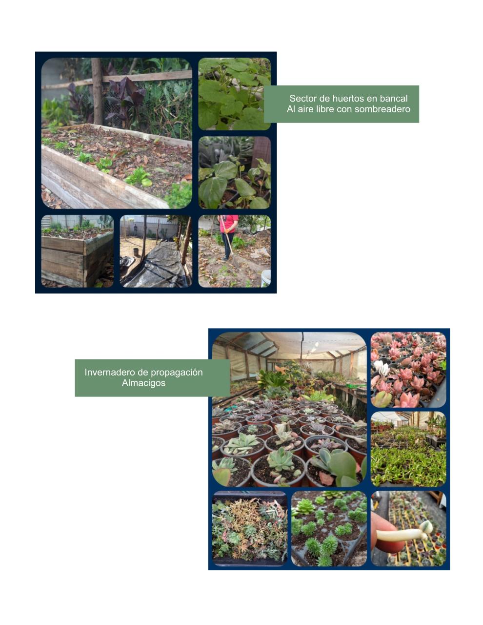 presentación_planta infinita.pdf - página 2/5