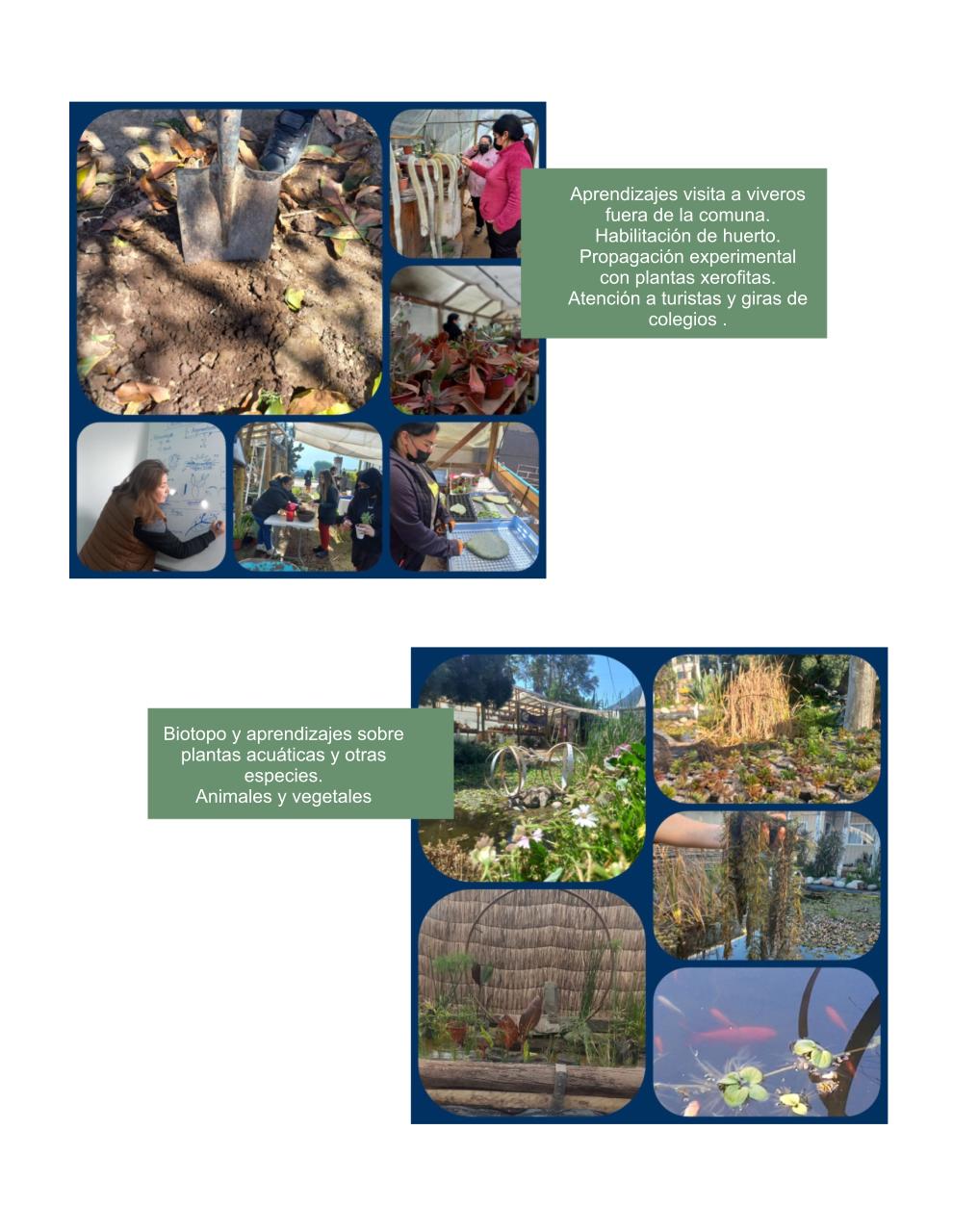 presentación_planta infinita.pdf - página 3/5