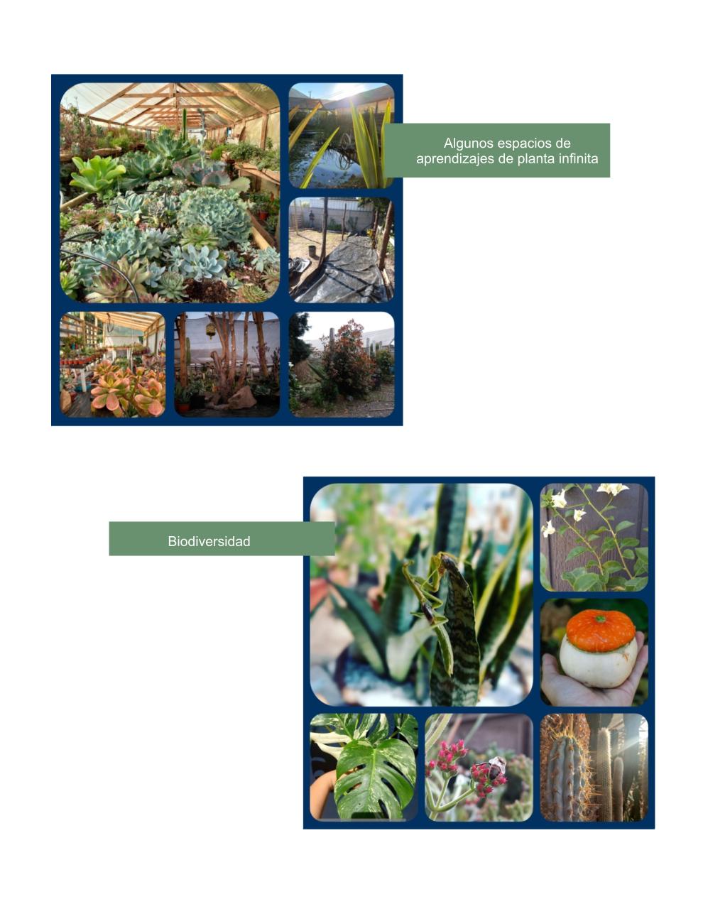 presentación_planta infinita.pdf - página 4/5