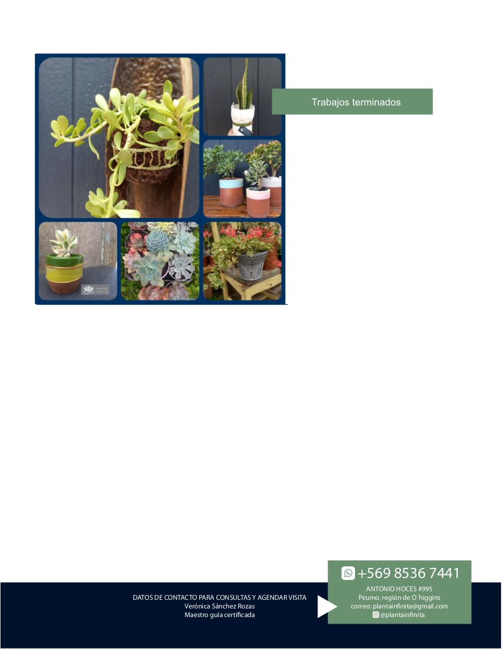 presentación_planta infinita.pdf - página 5/5