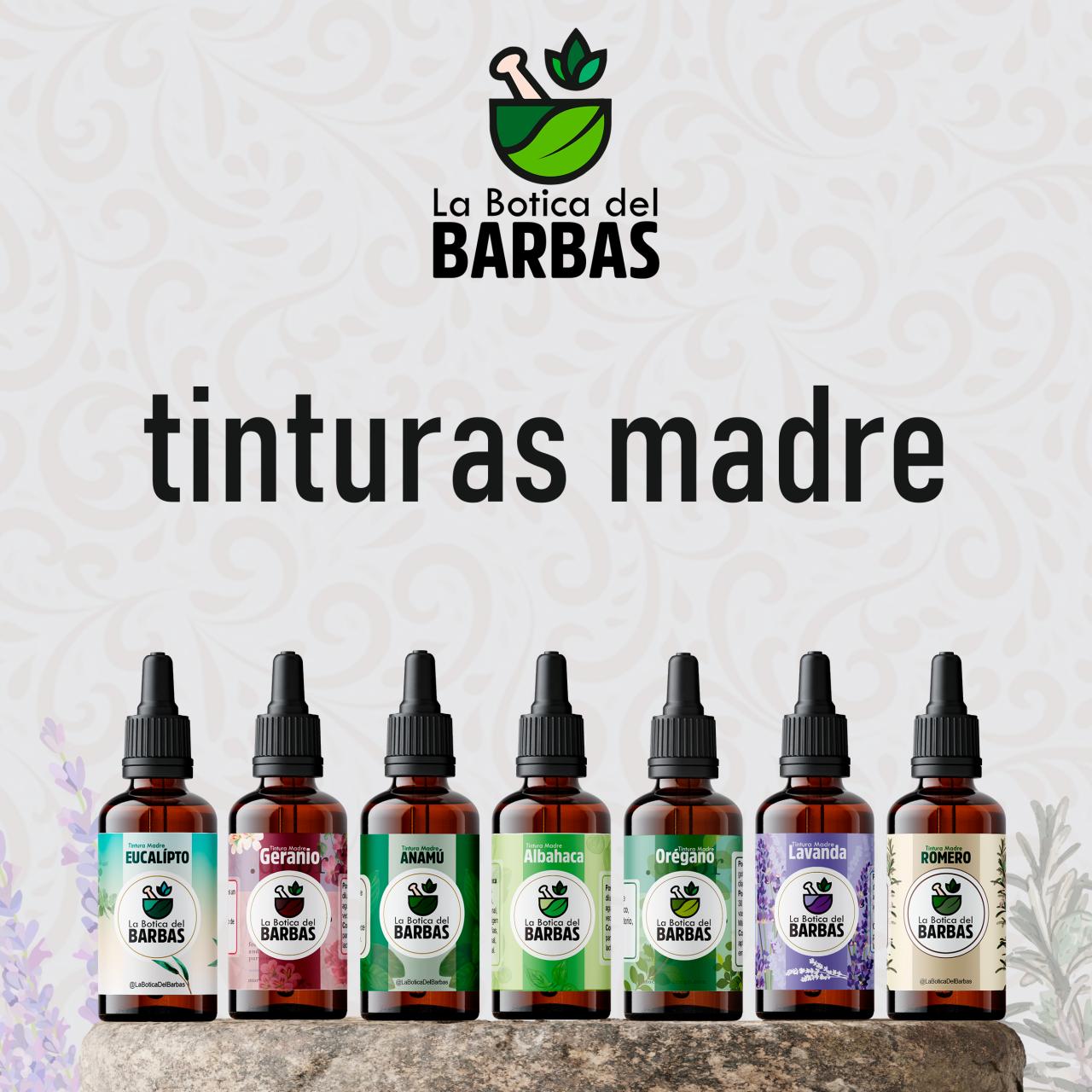 Vista previa del archivo PDF brochure.pdf