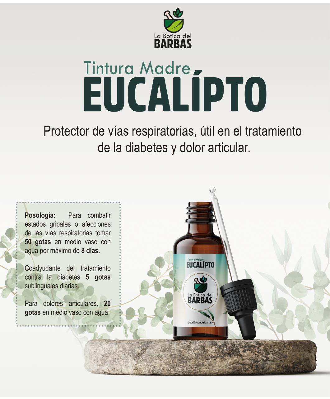 Vista previa del archivo PDF brochure.pdf