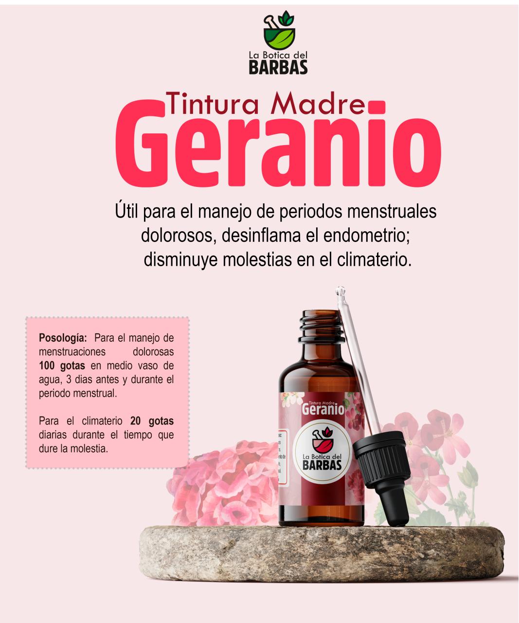 Vista previa del archivo PDF brochure.pdf