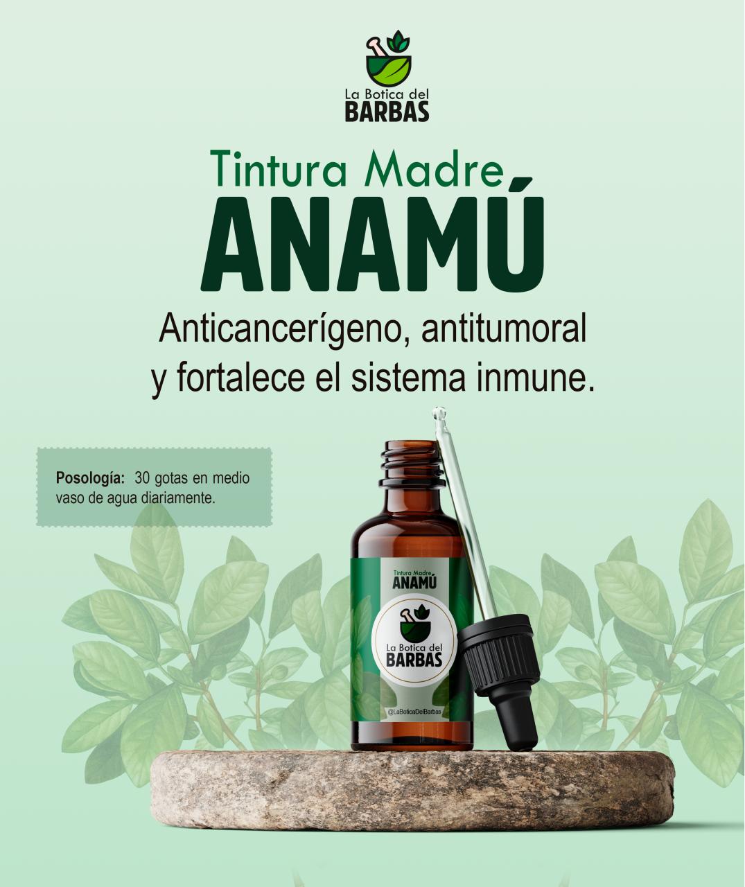 Vista previa del archivo PDF brochure.pdf