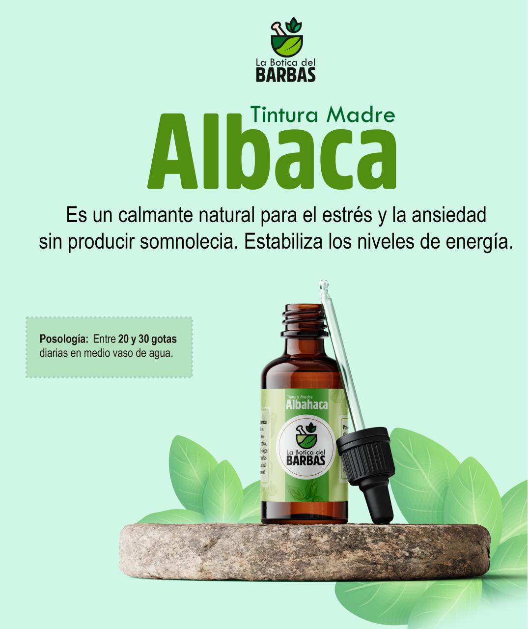 Vista previa del archivo PDF brochure.pdf