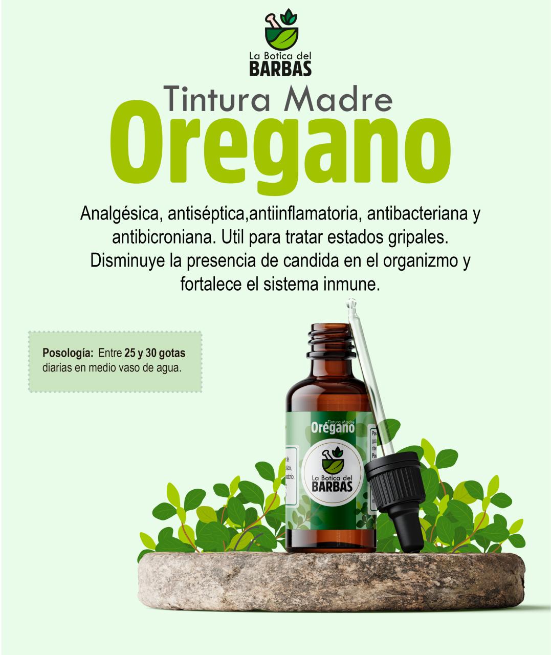 Vista previa del archivo PDF brochure.pdf