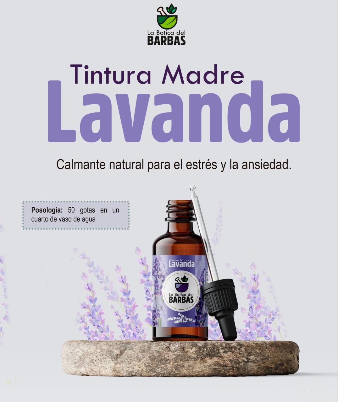 Vista previa del archivo PDF brochure.pdf