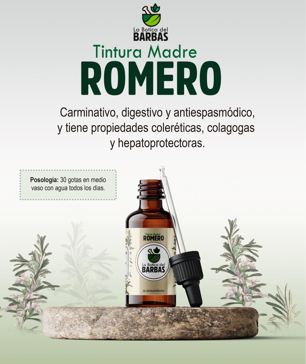 Vista previa del archivo PDF brochure.pdf