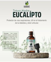 brochure.pdf - página 3/9