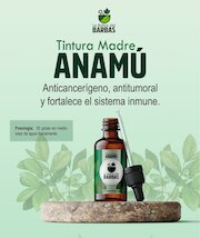 brochure.pdf - página 5/9