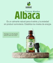 brochure.pdf - página 6/9