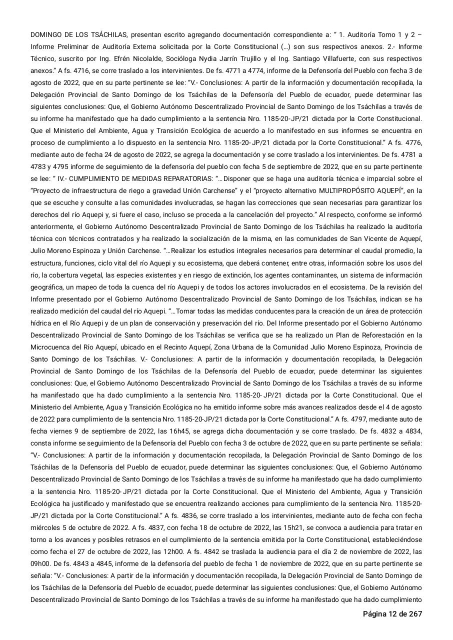 Vista previa del archivo PDF sentencia-primera-instancia-accion-de-proteccion-rio-aquepi.pdf