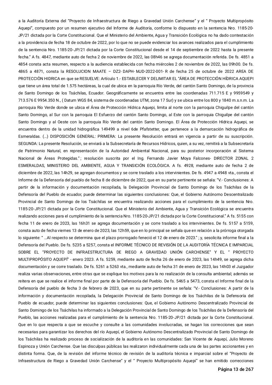 Vista previa del archivo PDF sentencia-primera-instancia-accion-de-proteccion-rio-aquepi.pdf