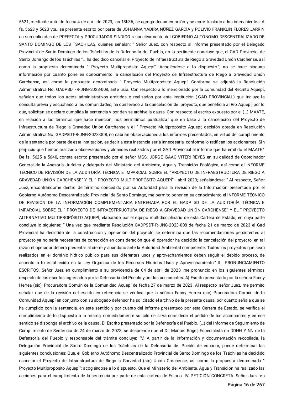 Vista previa del archivo PDF sentencia-primera-instancia-accion-de-proteccion-rio-aquepi.pdf