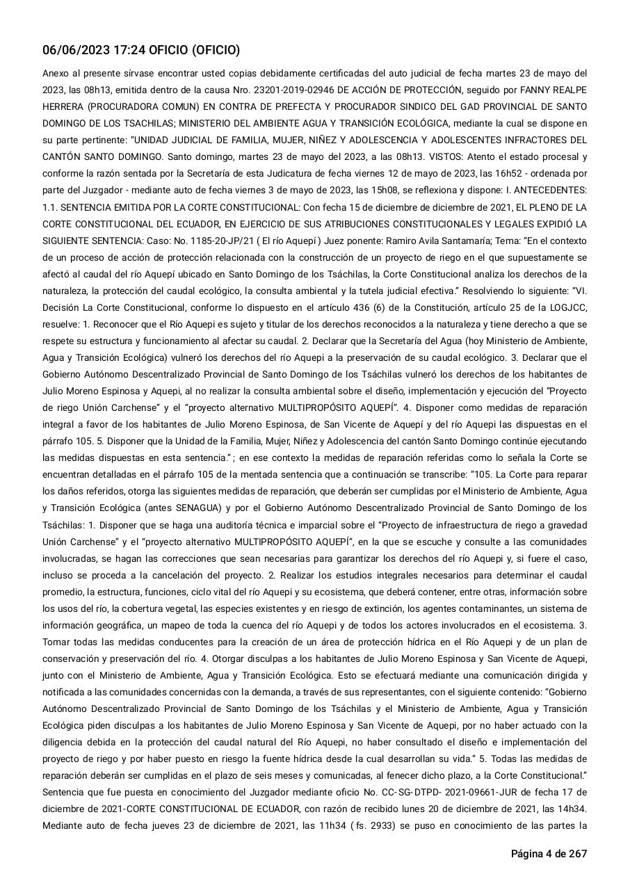 Vista previa del archivo PDF sentencia-primera-instancia-accion-de-proteccion-rio-aquepi.pdf