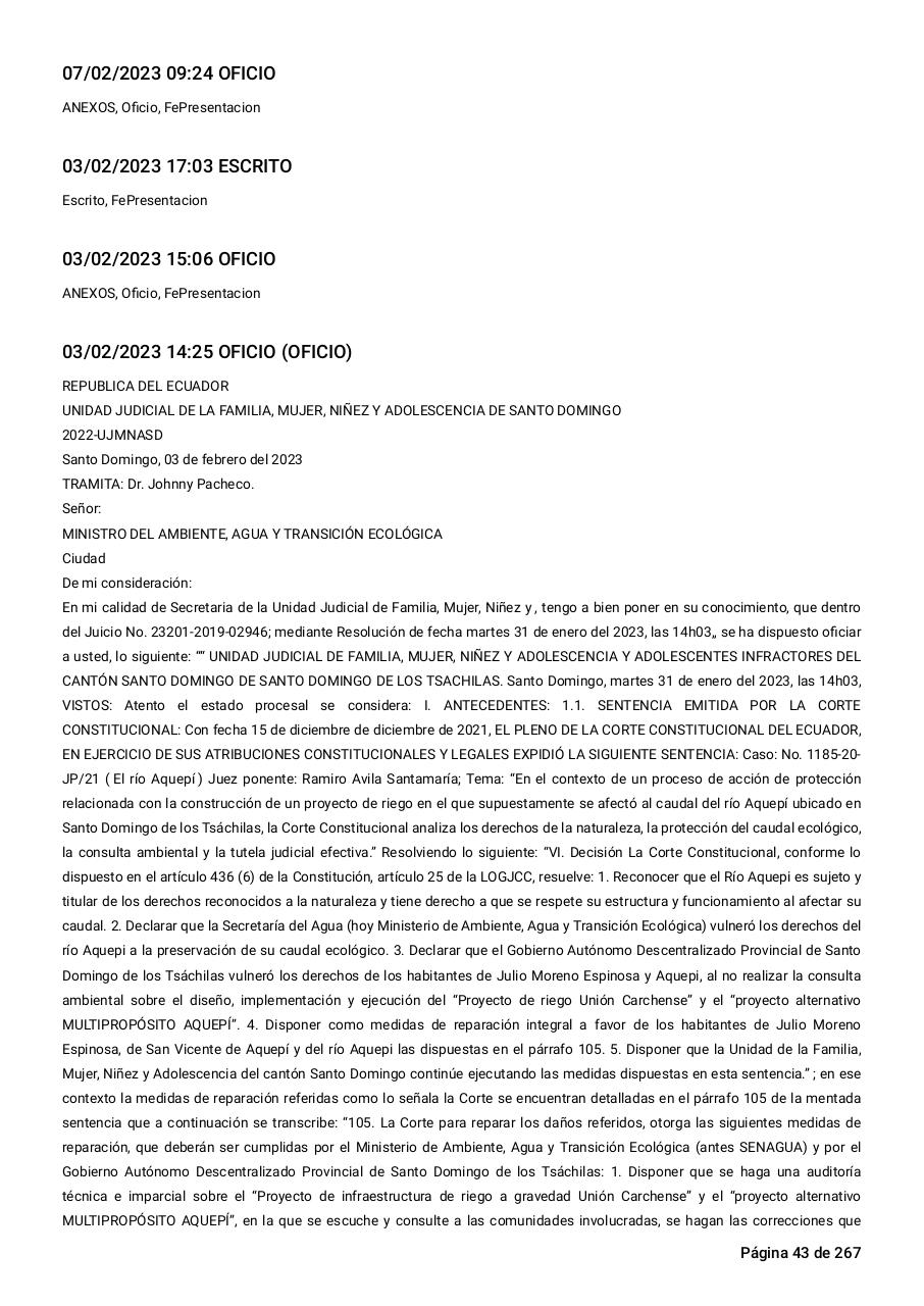Vista previa del archivo PDF sentencia-primera-instancia-accion-de-proteccion-rio-aquepi.pdf