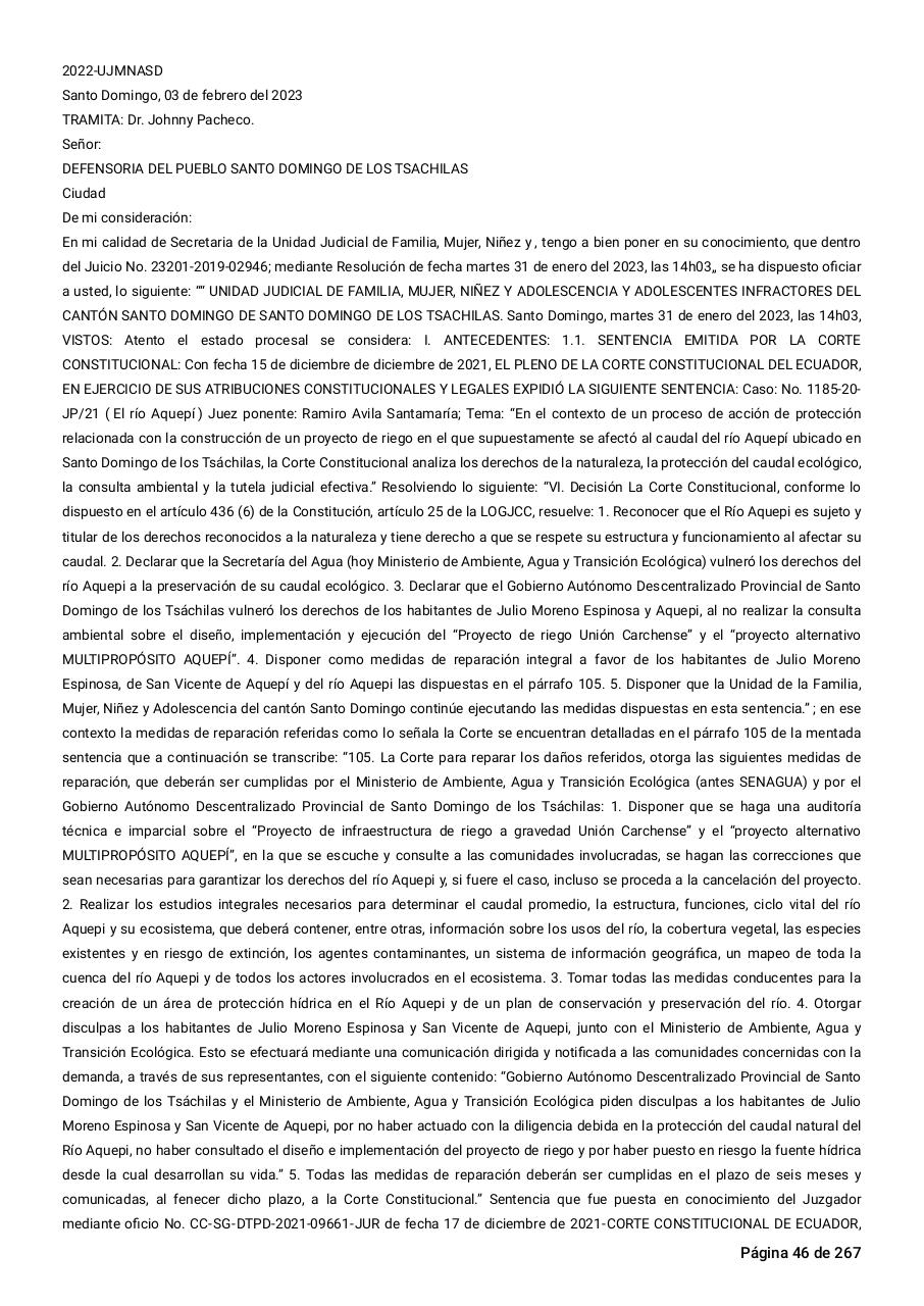 Vista previa del archivo PDF sentencia-primera-instancia-accion-de-proteccion-rio-aquepi.pdf