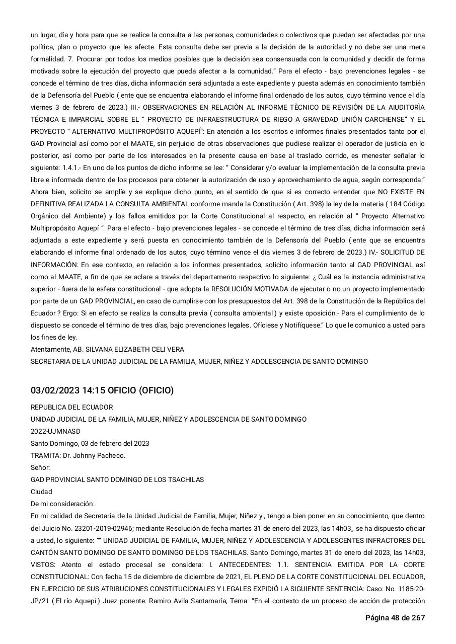 Vista previa del archivo PDF sentencia-primera-instancia-accion-de-proteccion-rio-aquepi.pdf