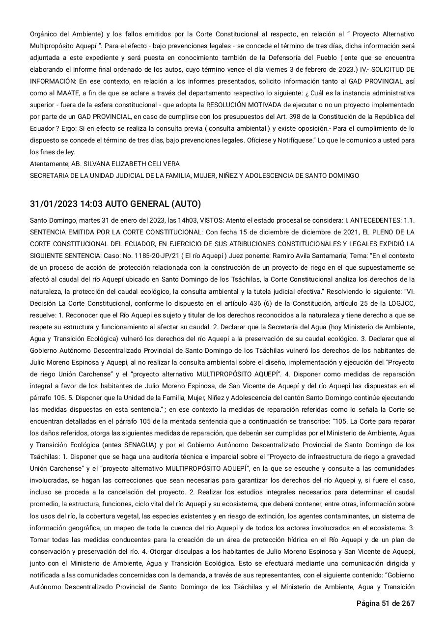 Vista previa del archivo PDF sentencia-primera-instancia-accion-de-proteccion-rio-aquepi.pdf