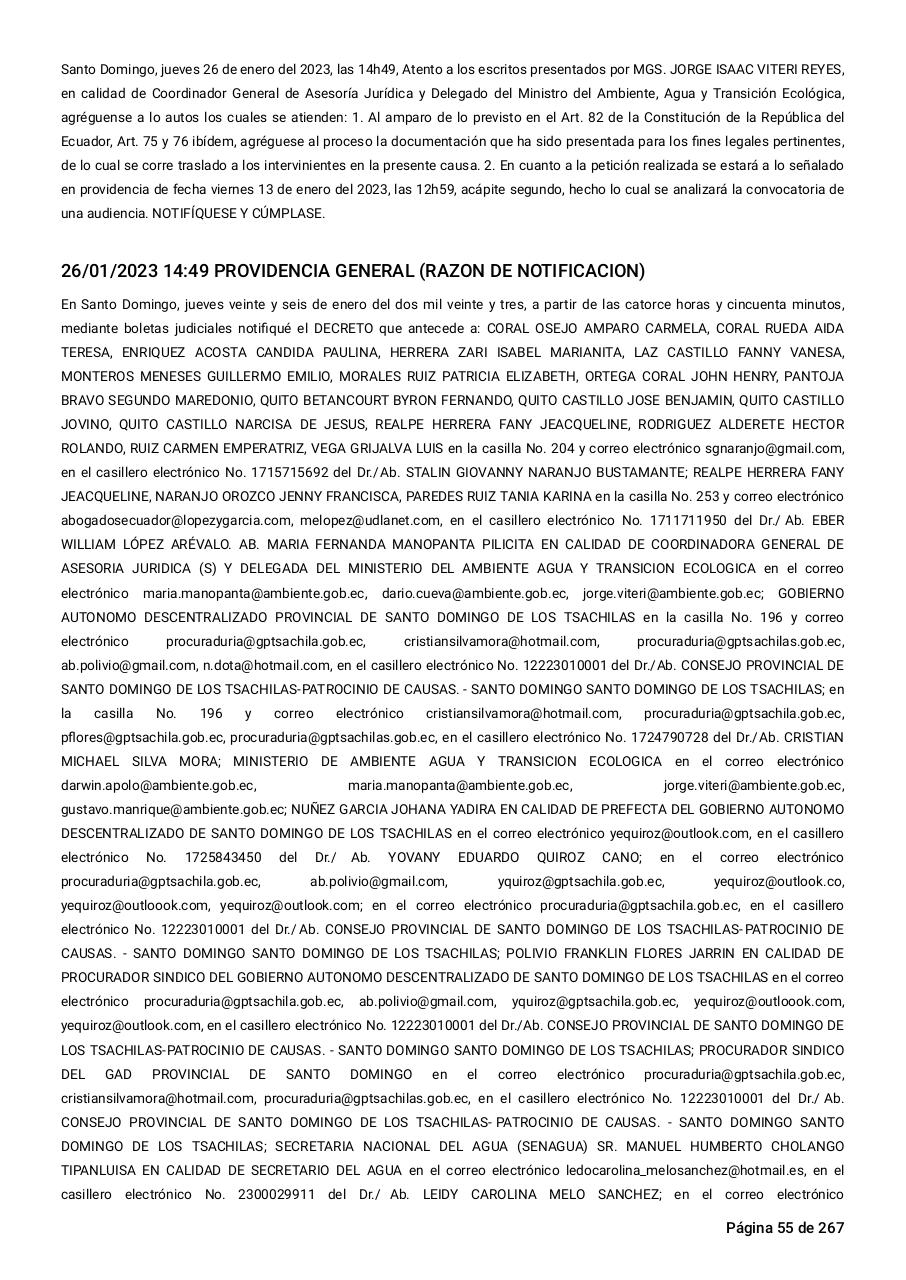 Vista previa del archivo PDF sentencia-primera-instancia-accion-de-proteccion-rio-aquepi.pdf