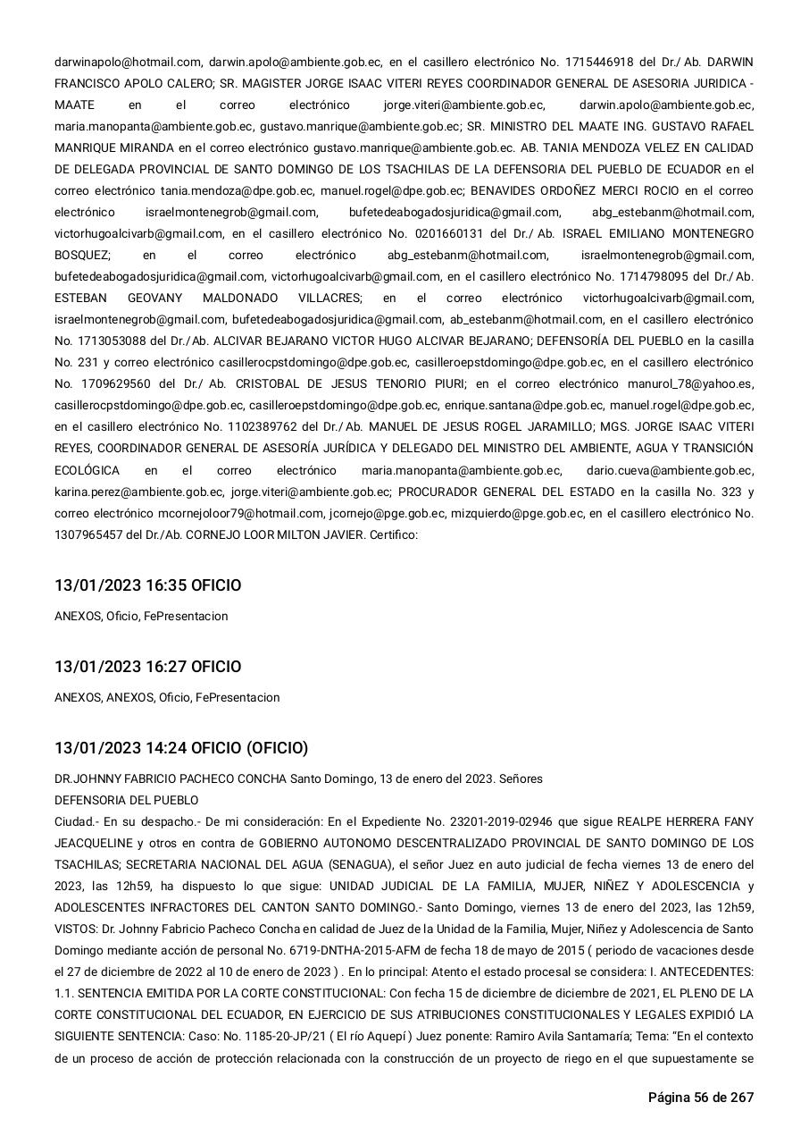 Vista previa del archivo PDF sentencia-primera-instancia-accion-de-proteccion-rio-aquepi.pdf
