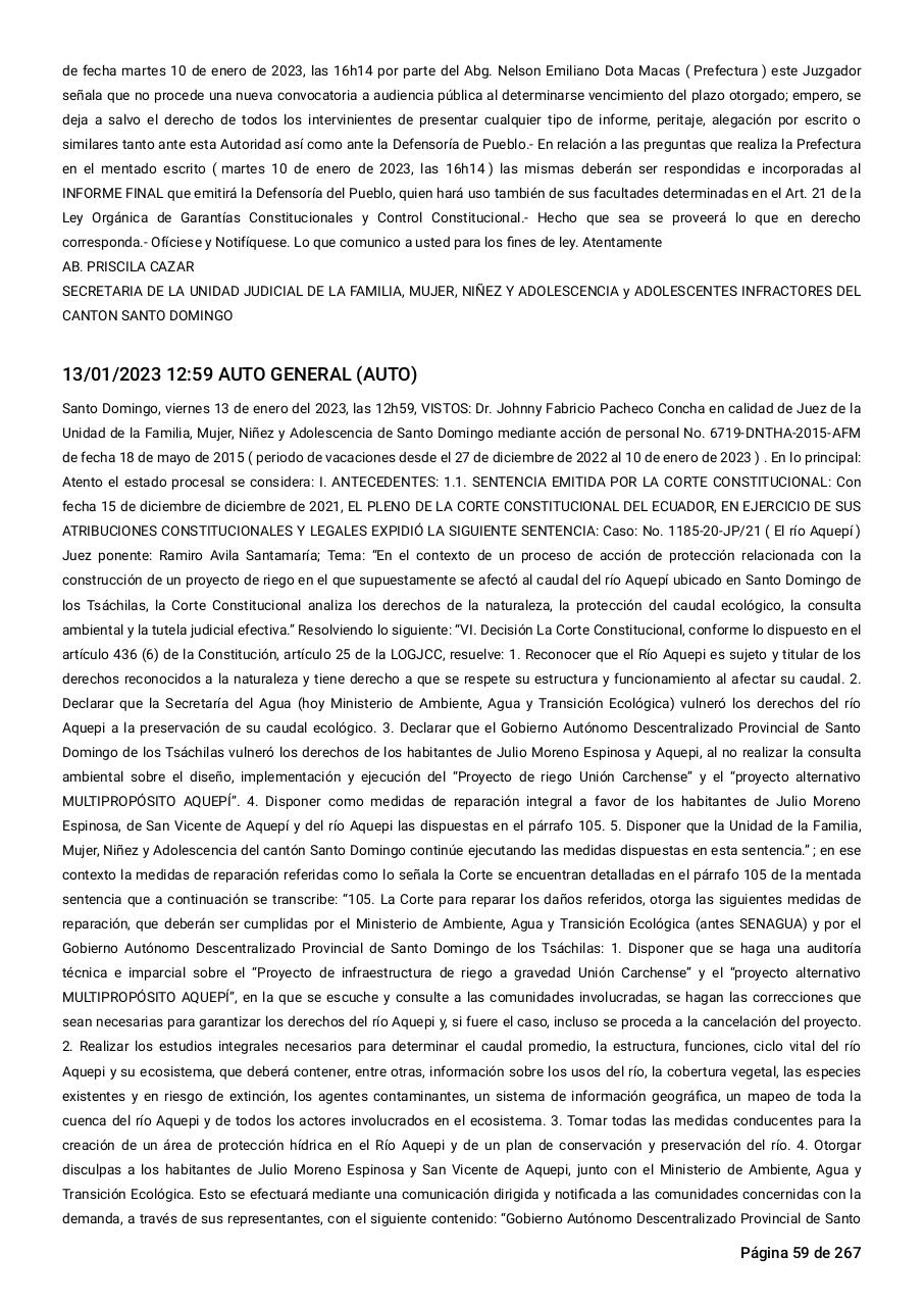Vista previa del archivo PDF sentencia-primera-instancia-accion-de-proteccion-rio-aquepi.pdf