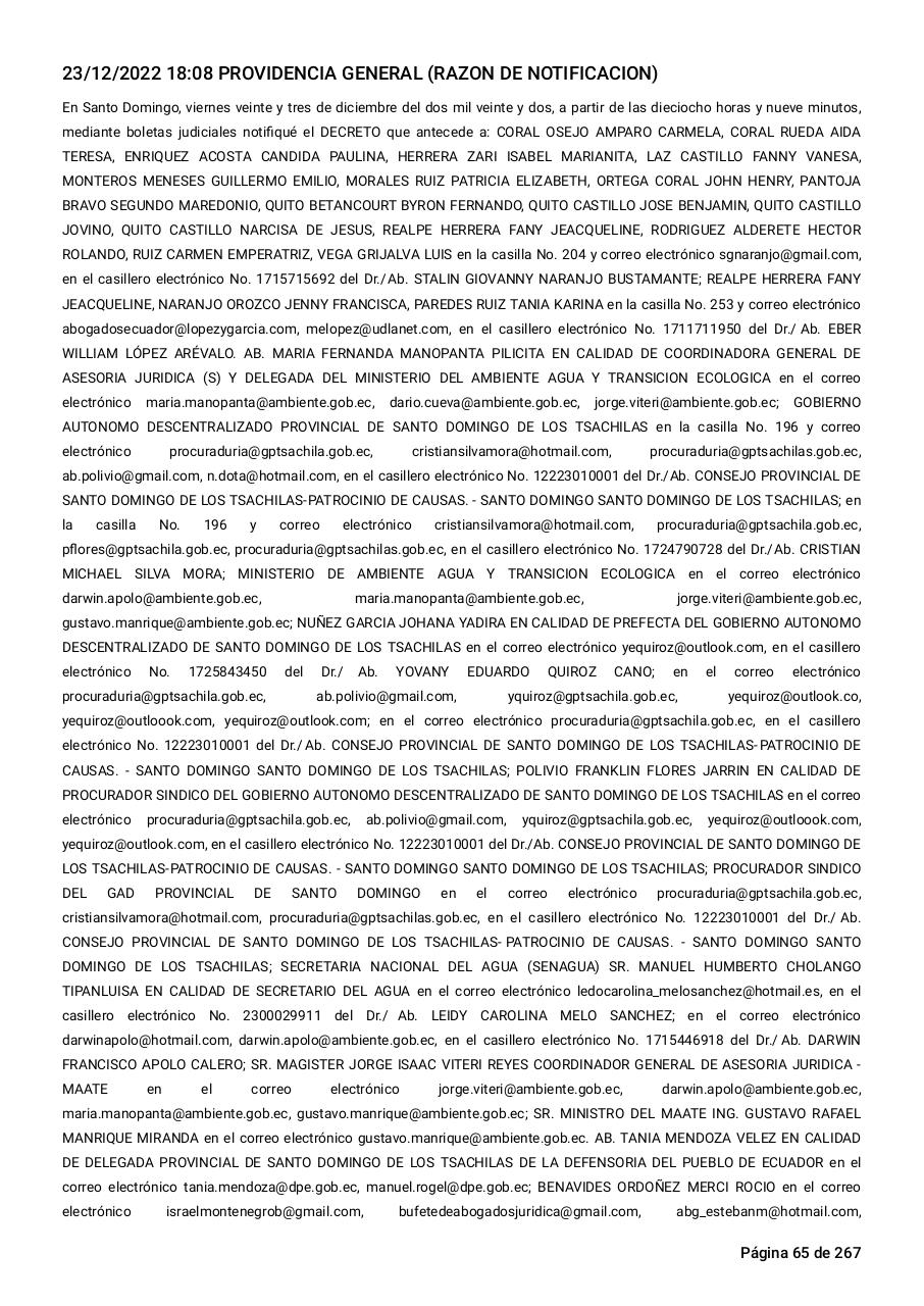 Vista previa del archivo PDF sentencia-primera-instancia-accion-de-proteccion-rio-aquepi.pdf
