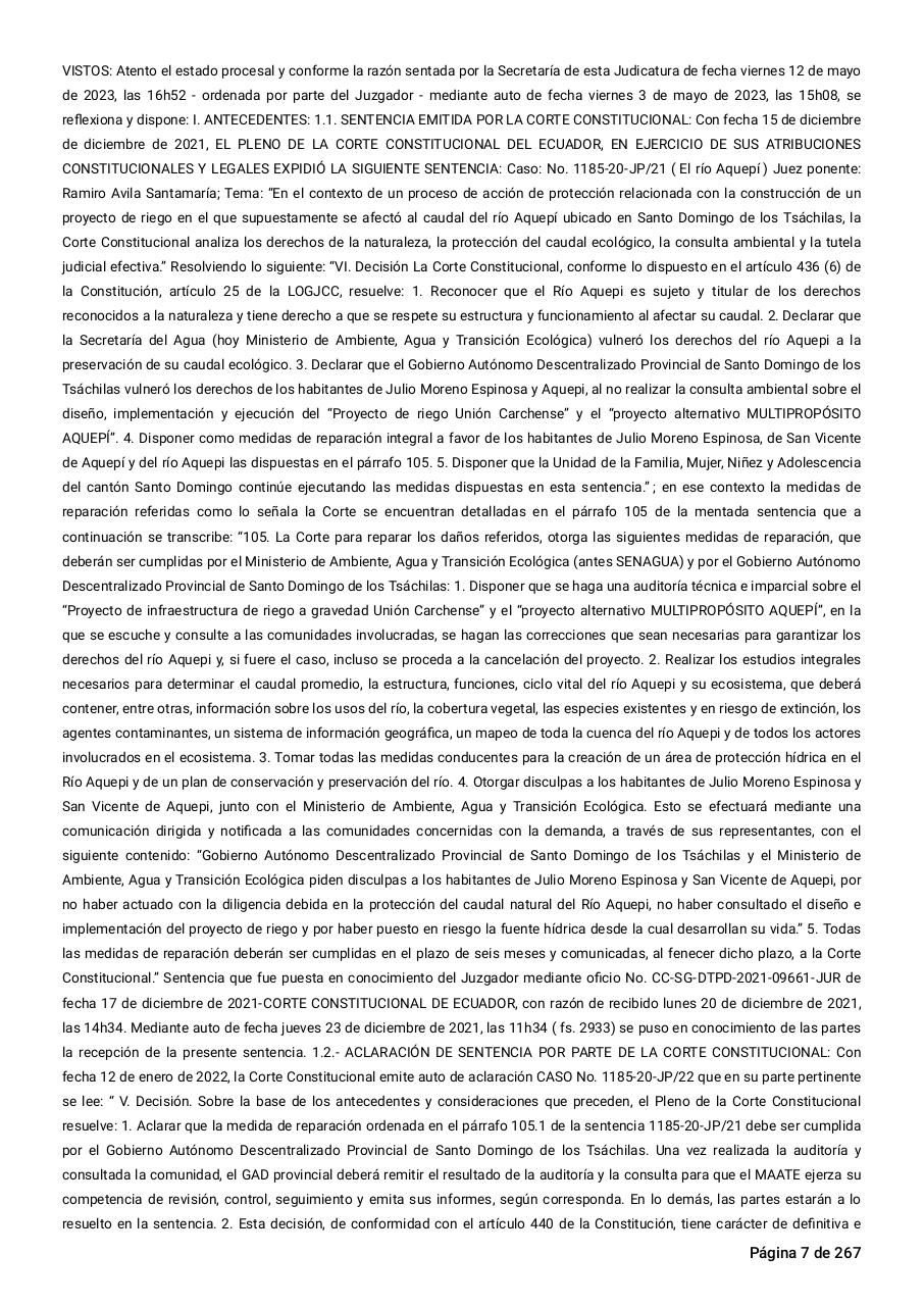 Vista previa del archivo PDF sentencia-primera-instancia-accion-de-proteccion-rio-aquepi.pdf