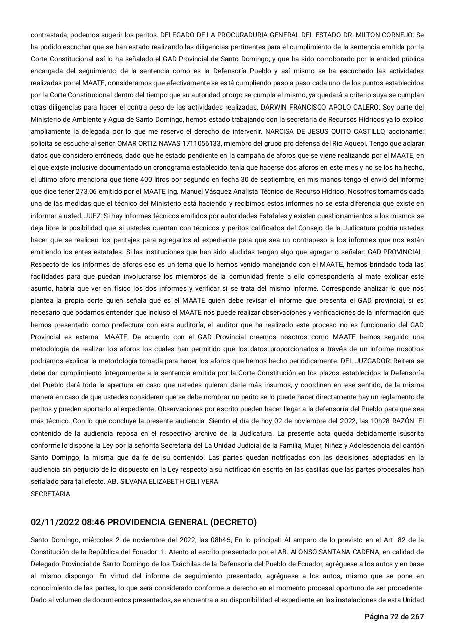 Vista previa del archivo PDF sentencia-primera-instancia-accion-de-proteccion-rio-aquepi.pdf