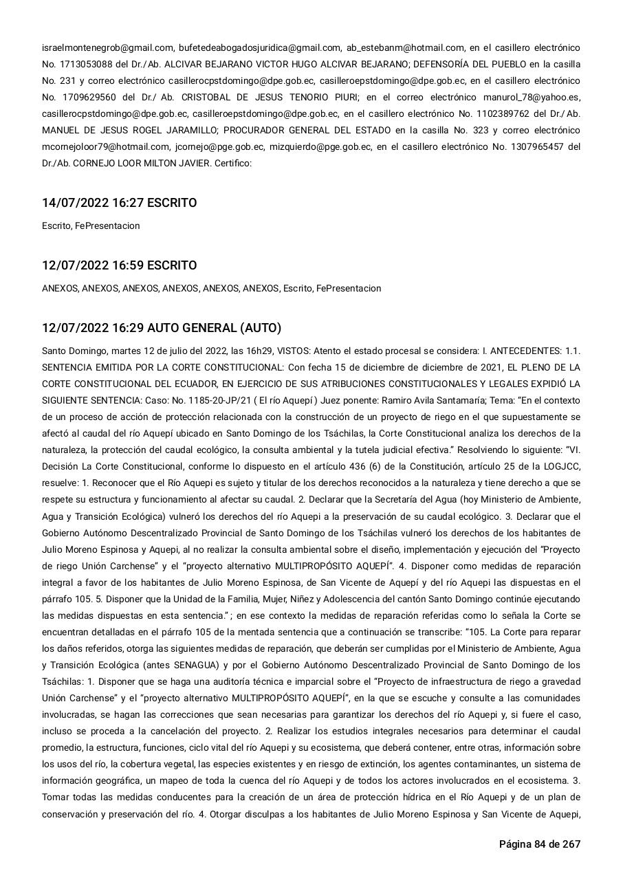 Vista previa del archivo PDF sentencia-primera-instancia-accion-de-proteccion-rio-aquepi.pdf
