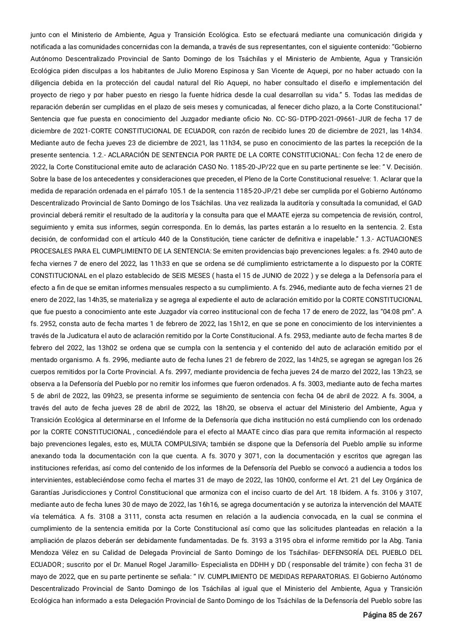 Vista previa del archivo PDF sentencia-primera-instancia-accion-de-proteccion-rio-aquepi.pdf