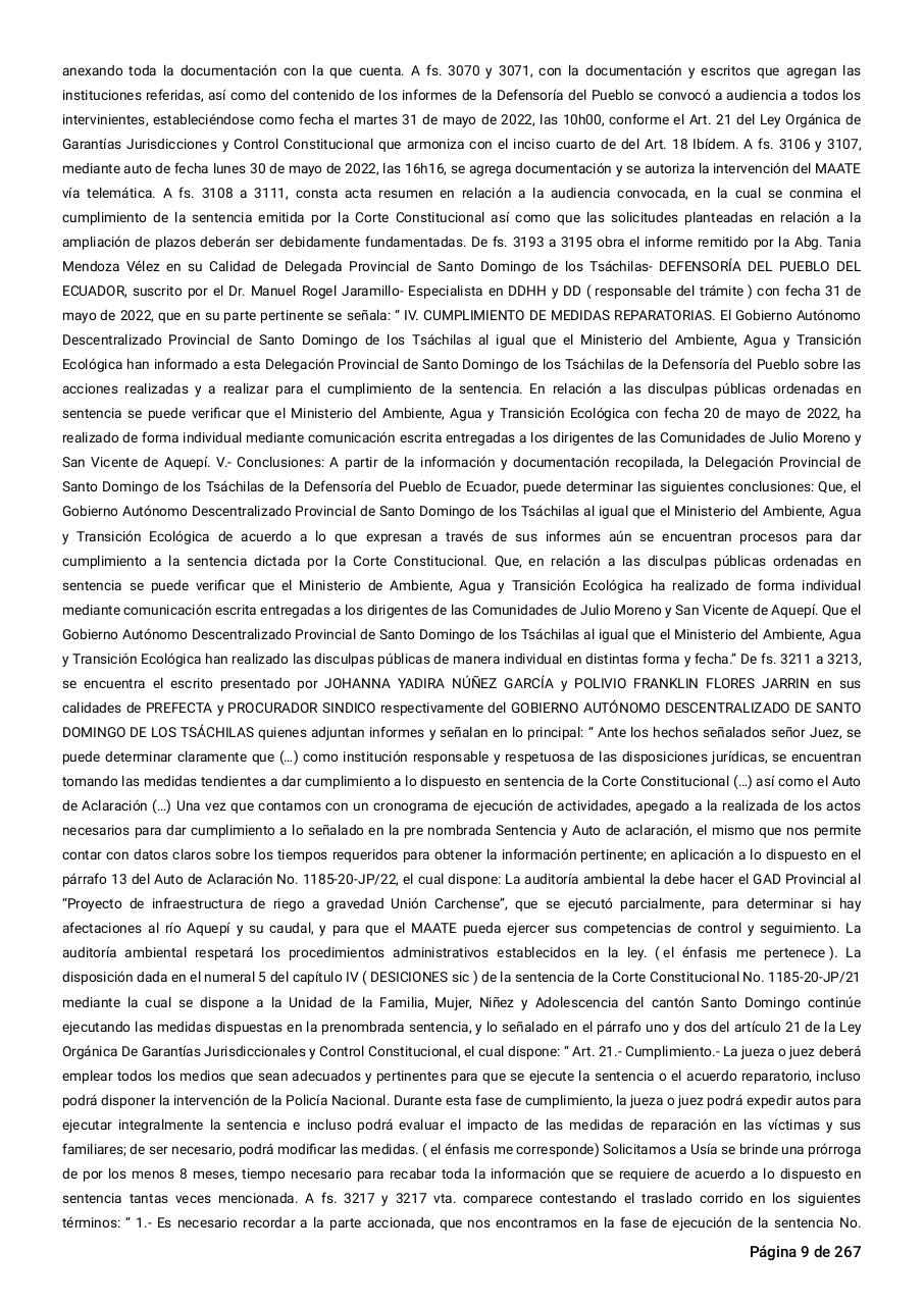 Vista previa del archivo PDF sentencia-primera-instancia-accion-de-proteccion-rio-aquepi.pdf